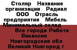 Столяр › Название организации ­ Радиал, ООО › Отрасль предприятия ­ Мебель › Минимальный оклад ­ 30 000 - Все города Работа » Вакансии   . Новгородская обл.,Великий Новгород г.